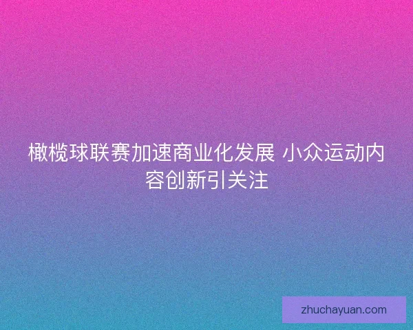 橄榄球联赛加速商业化发展 小众运动内容创新引关注