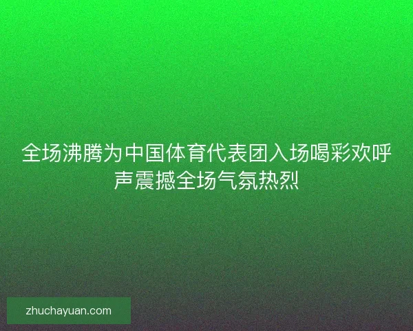 全场沸腾为中国体育代表团入场喝彩欢呼声震撼全场气氛热烈