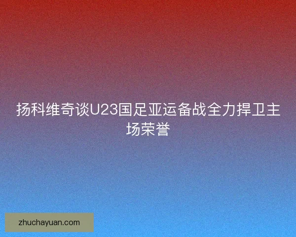 扬科维奇谈U23国足亚运备战全力捍卫主场荣誉