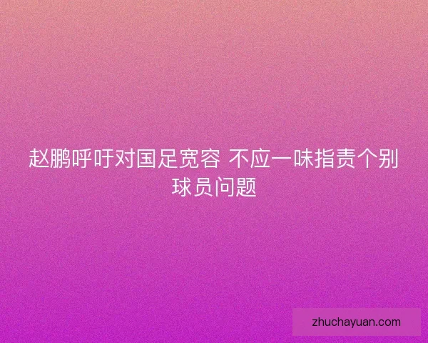 赵鹏呼吁对国足宽容 不应一味指责个别球员问题