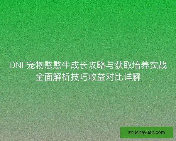 DNF宠物憨憨牛成长攻略与获取培养实战全面解析技巧收益对比详解